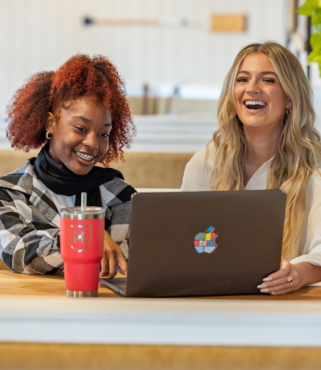 Two friends looking at a laptop